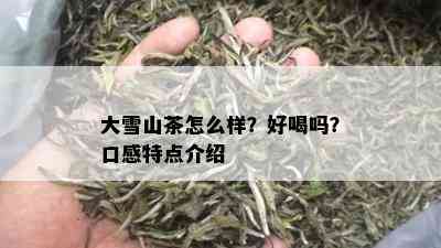 大雪山茶怎么样？好喝吗？口感特点介绍