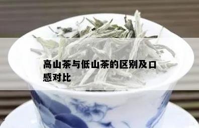 高山茶与低山茶的区别及口感对比