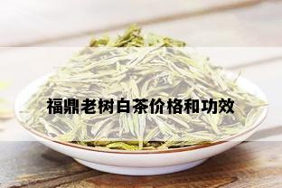 福鼎老树白茶价格和功效