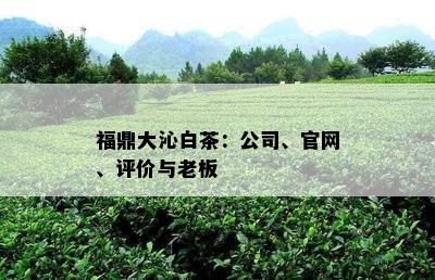 福鼎大沁白茶：公司、官网、评价与老板
