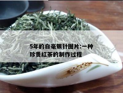 5年的白毫银针图片:一种珍贵红茶的制作过程