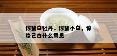 惊蛰白牡丹，惊蛰小白，惊蛰已白什么意思