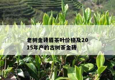 老树金砖眉茶叶价格及2015年产的古树茶金砖