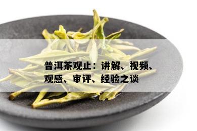 普洱茶观止：讲解、视频、观感、审评、经验之谈