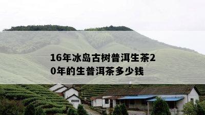 16年冰岛古树普洱生茶20年的生普洱茶多少钱