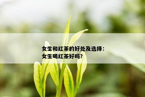 女生和红茶的好处及选择：女生喝红茶好吗？