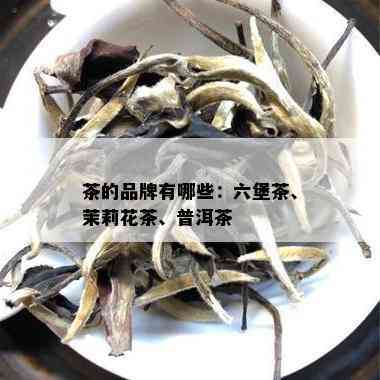 茶的品牌有哪些：六堡茶、茉莉花茶、普洱茶