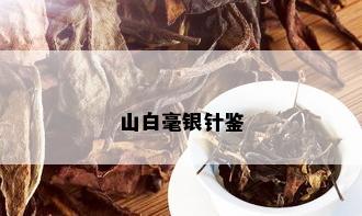 山白毫银针鉴