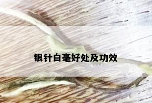 银针白毫好处及功效