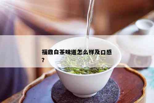 福鼎白茶味道怎么样及口感？