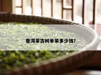 普洱茶古树单采多少钱？