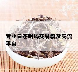 专业白茶明码交易群及交流平台