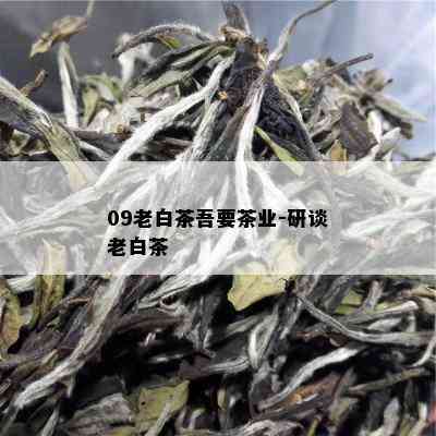 09老白茶吾要茶业-研谈老白茶