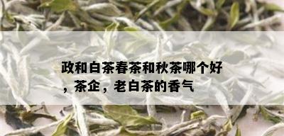 政和白茶春茶和秋茶哪个好，茶企，老白茶的香气