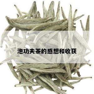 泡功夫茶的感想和收获