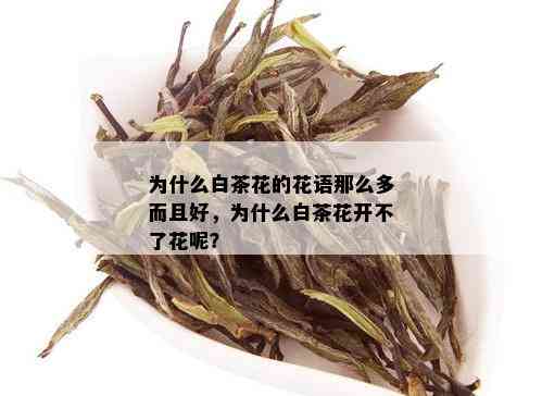 为什么白茶花的花语那么多而且好，为什么白茶花开不了花呢？