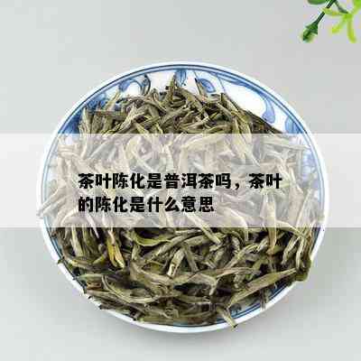 茶叶陈化是普洱茶吗，茶叶的陈化是什么意思