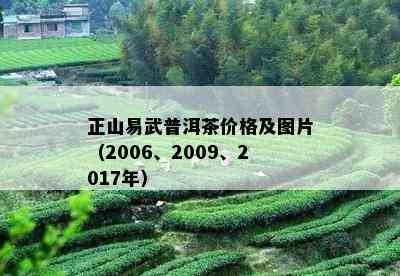 正山易武普洱茶价格及图片（2006、2009、2017年）