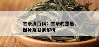 甘茶度百科：甘茶的意思、图片及甘荼解析