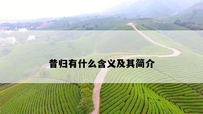 昔归有什么含义及其简介