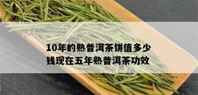 10年的熟普洱茶饼值多少钱现在五年熟普洱茶功效