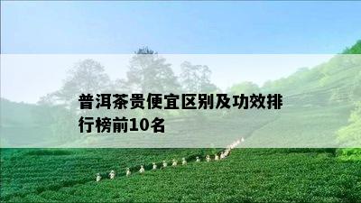 普洱茶贵便宜区别及功效排行榜前10名