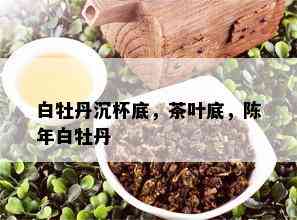 白牡丹沉杯底，茶叶底，陈年白牡丹