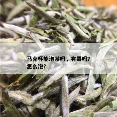 马克杯能泡茶吗，有吗？怎么泡？