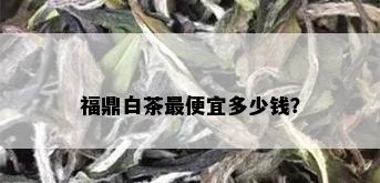 福鼎白茶更便宜多少钱？