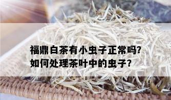 福鼎白茶有小虫子正常吗？如何处理茶叶中的虫子？