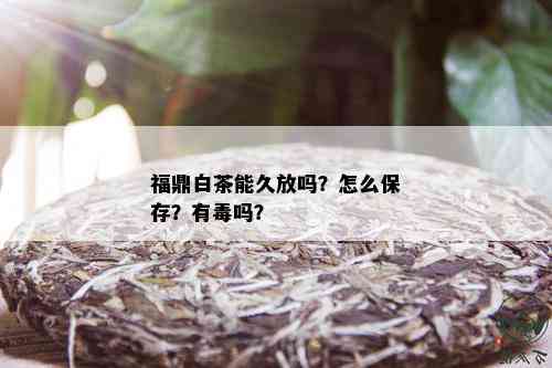 福鼎白茶能久放吗？怎么保存？有吗？