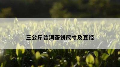 三公斤普洱茶饼尺寸及直径