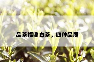 品茶福鼎白茶，四种品质