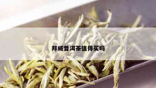 邦威普洱茶值得买吗