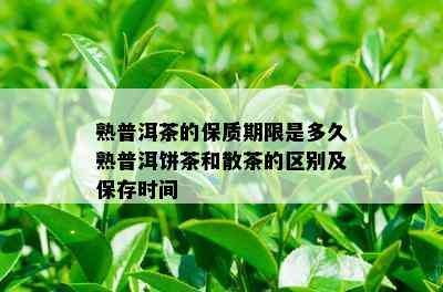 熟普洱茶的保质期限是多久熟普洱饼茶和散茶的区别及保存时间