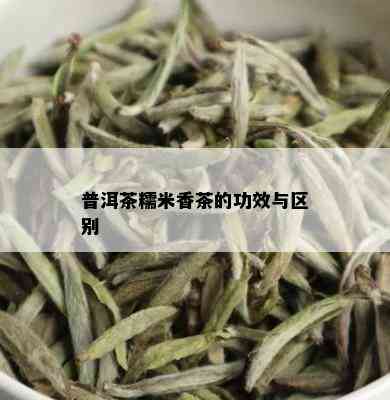 普洱茶糯米香茶的功效与区别