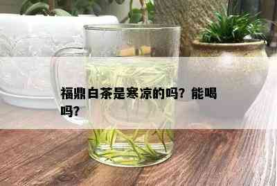 福鼎白茶是寒凉的吗？能喝吗？