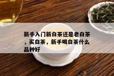 新手入门新白茶还是老白茶，买白茶，新手喝白茶什么品种好