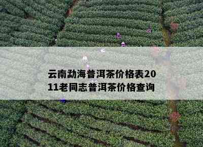 云南勐海普洱茶价格表2011老同志普洱茶价格查询