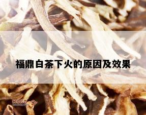 福鼎白茶下火的原因及效果