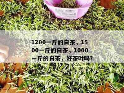 1200一斤的白茶，1500一斤的白茶，1000一斤的白茶，好茶叶吗？