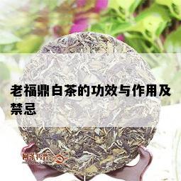 老福鼎白茶的功效与作用及禁忌