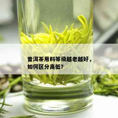 普洱茶用料等级越老越好，如何区分高低？