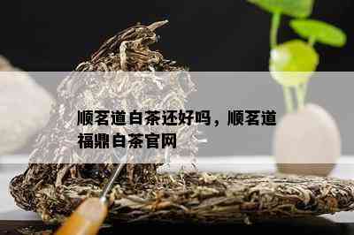 顺茗道白茶还好吗，顺茗道福鼎白茶官网