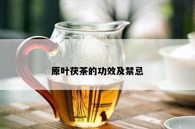 原叶茯茶的功效及禁忌