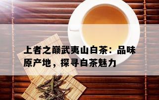 上者之巅武夷山白茶：品味原产地，探寻白茶魅力