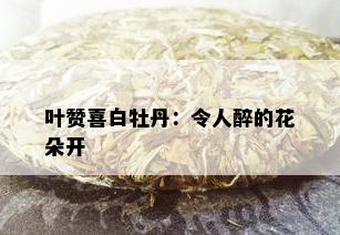 叶赞喜白牡丹：令人醉的花朵开