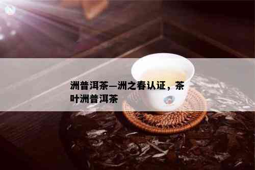 洲普洱茶—洲之春认证，茶叶洲普洱茶