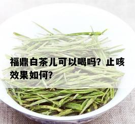 福鼎白茶儿可以喝吗？止咳效果如何？