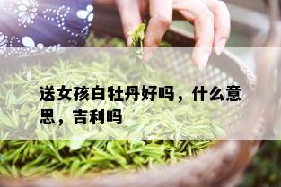 送女孩白牡丹好吗，什么意思，吉利吗